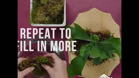 cách ghép ổ rồng vào bản gỗ