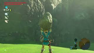 Link picks up a rock weird (BotW clip)