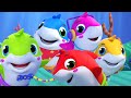 Five Little Sharks, Counting Numbers and Animal Cartoons for Kids