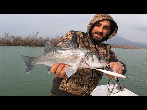 Βίντεο: Ψάρεμα λευκού λαβρακιού στις λίμνες