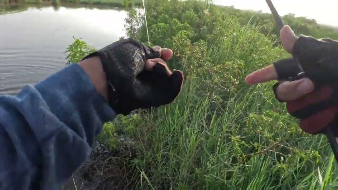 Beberapa hal konyol  saat memancing ‼️