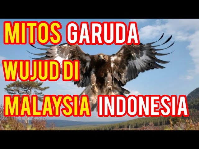 WUJUD BURUNG GARUDA DI MALAYSIA DAN INDONESIA - YouTube