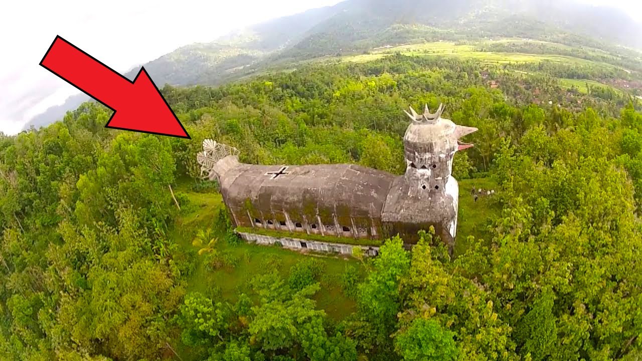 Неожиданные Находки в Глухом Лесу - YouTube