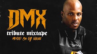 D M X Tribute Mix by DJ Noize