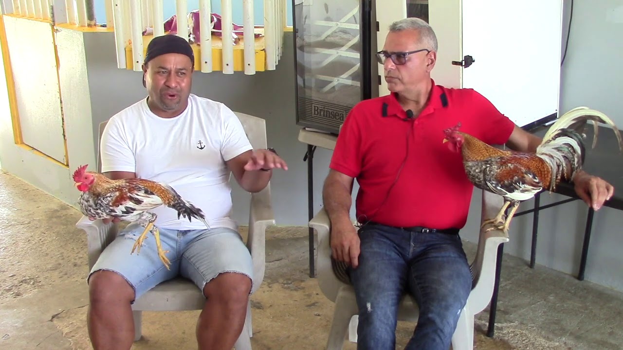 Un reproductor de avanzada el Encariñao