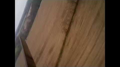 Model rocket launch with onboard camera