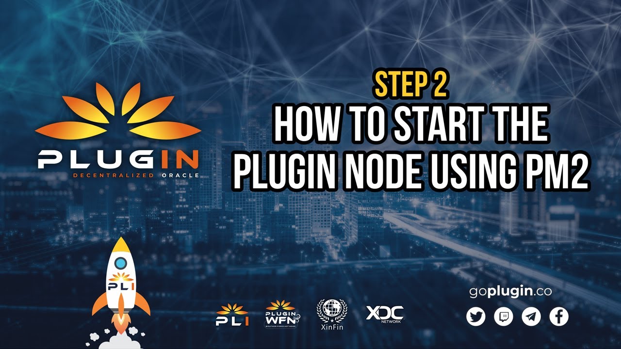 Step 2 - How to start the Plugin Node using PM2 - YouTube