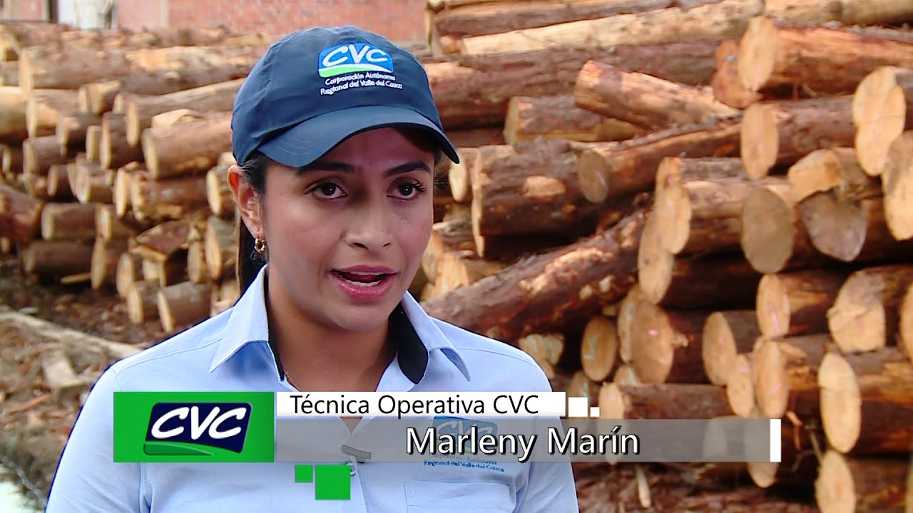 Tableros de madera maciza – Cooperacion Verde S.A – Elija Madera Legal