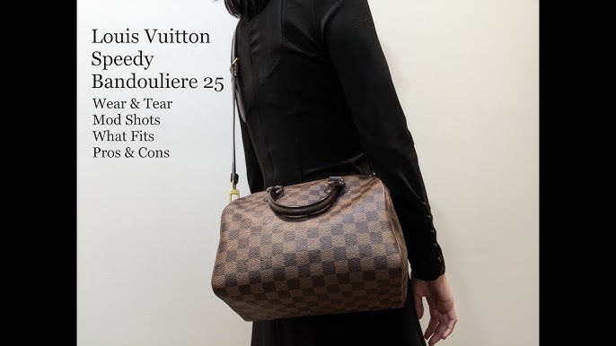 Comp btw Louis Vuitton Surene bb vs Speedy 25b Lvlovermj 