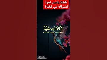 القرآن الكريم #اكسبلور #duet #دويتو #تيك_توك #رمضانمبارك #لايك #فولو #راحة_نفسية #في #حالات_واتس