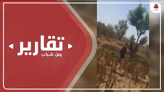 فاطمة وعائلتها  ... ضحايا إرهاب المليشيا الحوثية في عمران