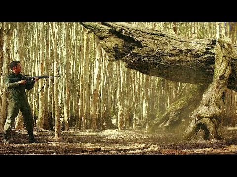 SPORE MANTIS Scene - Kong: Skull Island (2017) Movie Clip HD