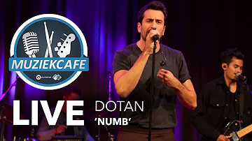 Dotan - 'Numb' live bij Muziekcafé
