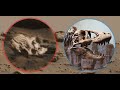 Giant skull? Is Mars inhabited?