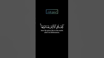 سورة الروم فانظر إلى آثار رحمة الله بصوت القارئ ياسر الدوسري #ياسرالدوسري #قرآن #قران #قرآن_كريم