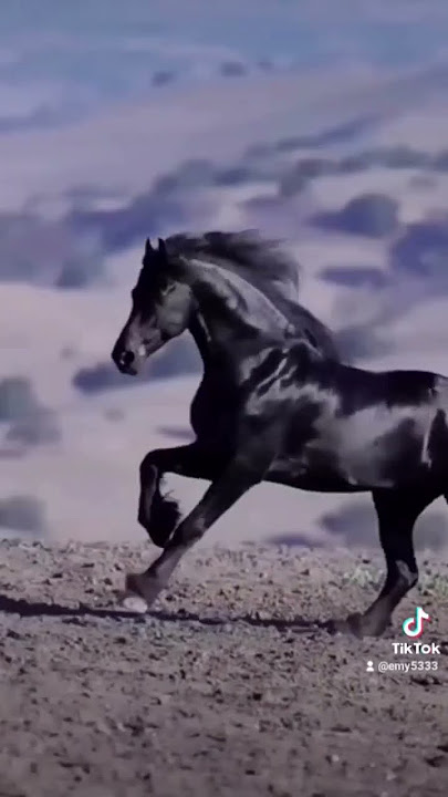 #لا عمرى طمعت فى اللى معاك