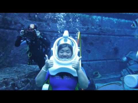 Aqua Trek @ The Lost Chambers Aquarium of Atlantis, Dubai