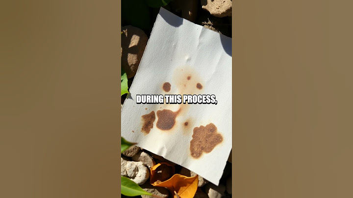 DIY Sun Prints Using Photosensitive Paper