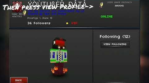 How to change your bio color-pixel strike 3d!