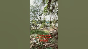 T.2714 bán ngôi nhà vườn miền Tây đường xe ô tô có thổ cư 3219 m2 có 200 m2 thổ cư wieu sông cực đẹp