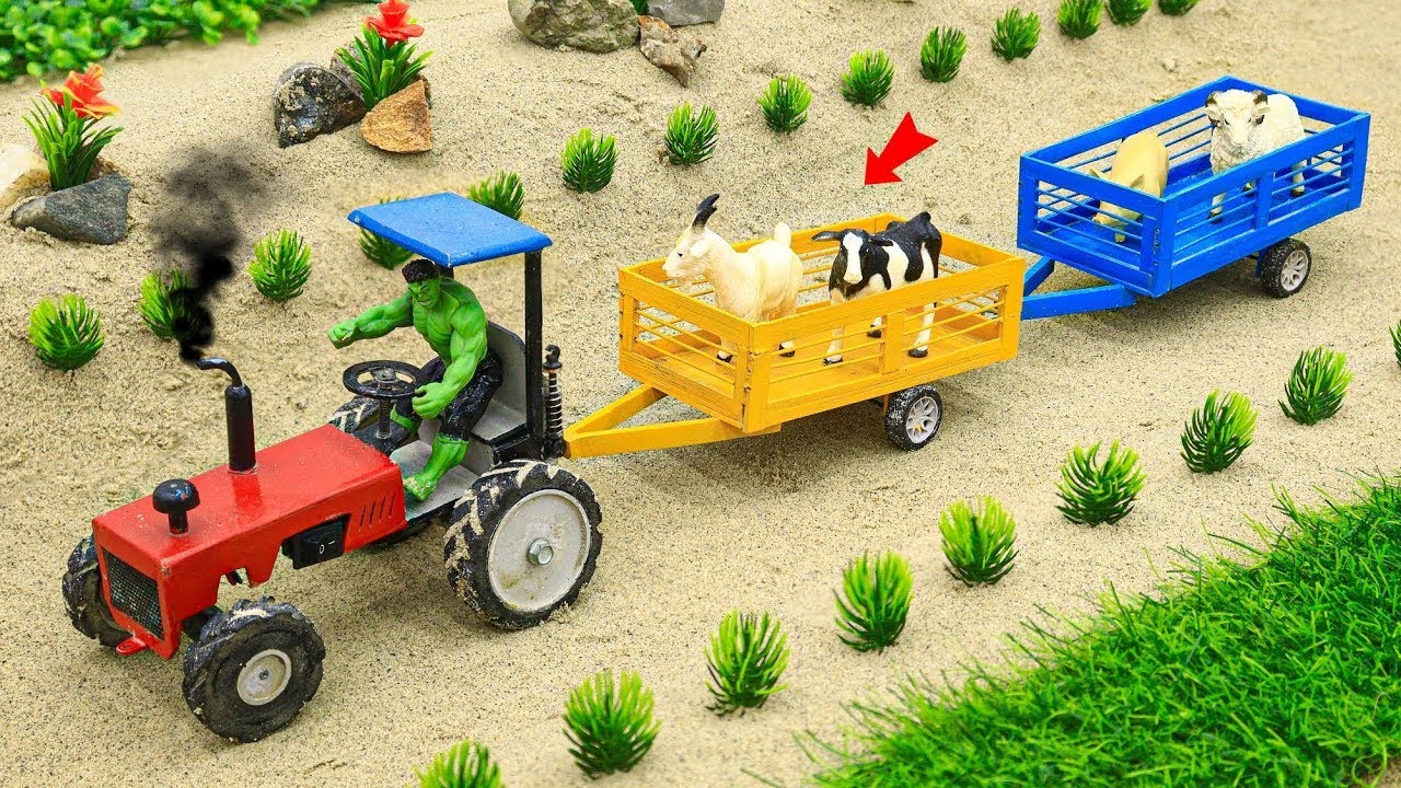 Sana Creator Live Stream