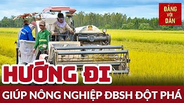 Đánh thức nông nghiệp đa giá trị tại khu vực đồng bằng sông Hồng | Động lực vùng sông Hồng
