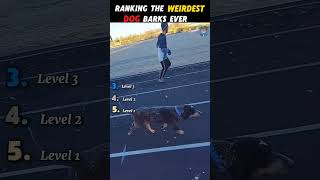Dog Barking sounds !