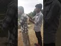 🏏 Cricket + Viral Sound = Perfect Vlog 🔥