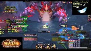 Kromog HC BRF Kill Paladin Tank PoV