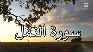 ماتيسر من سورة النمل للقارئ عمر صالح الحربي | Surah An Naml