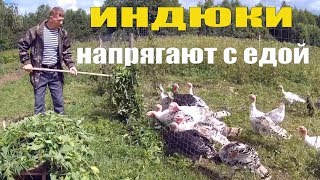 :    ,     //   