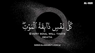 أرح سمعك.. تلاوة هادئة تريح القلب والعقل🩵😴 | ساعة كاملة🕛🎧 القارئ محمد هشام | Mohamed Hesham