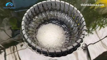 Hút mặt hồ Koi xẻ rãnh, tự nổi theo mực nước và xoay theo lực hút nước tự nhiên