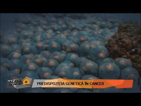 Video: În Cercetarea Cancerului Silico Spre 3R