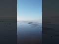 Sonido del mar con gaviotas para relajarse