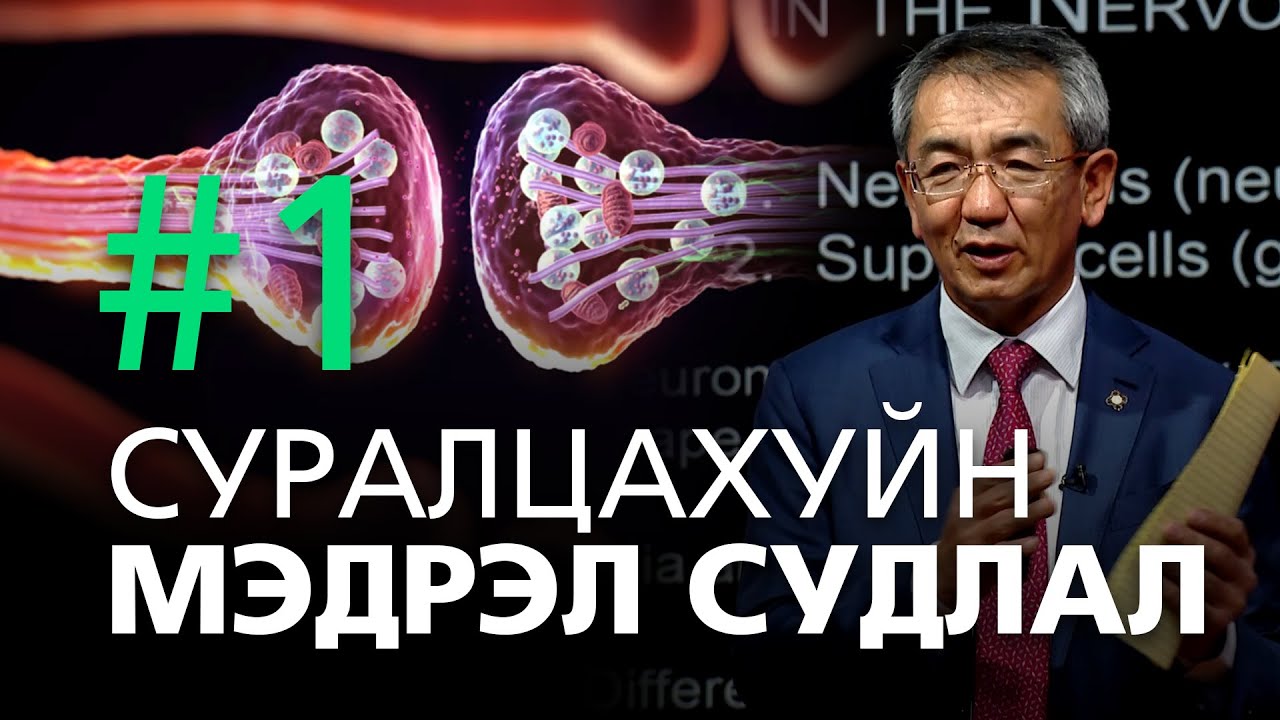 Суралцахуйн мэдрэл судлал