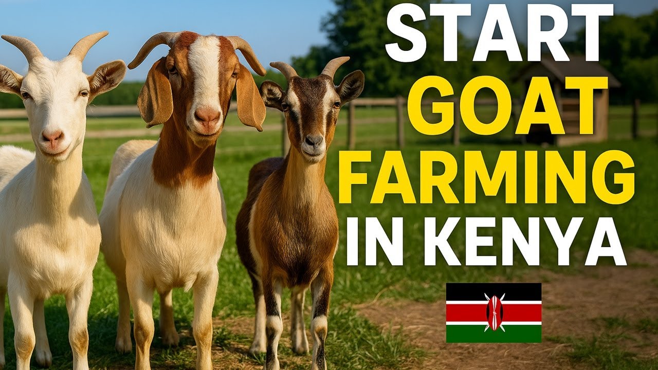 Goat Farming for Beginners: Everything You Need to Know to Start