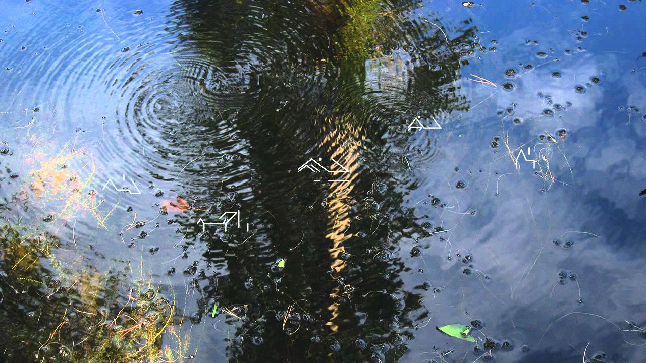 frankie cosmos buses splash with rain youtube