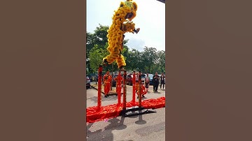 Thumbnail of Acrobatic Lion Dance - Awesome Double Lion Performance