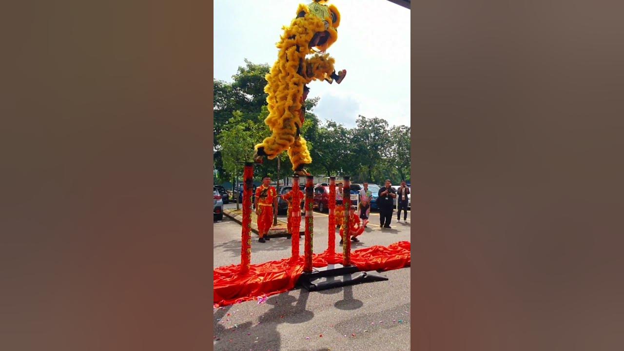 Acrobatic Lion Dance - Awesome Double Lion Performance Acrobatic Lion Dance - Awesome Double Lion Performance