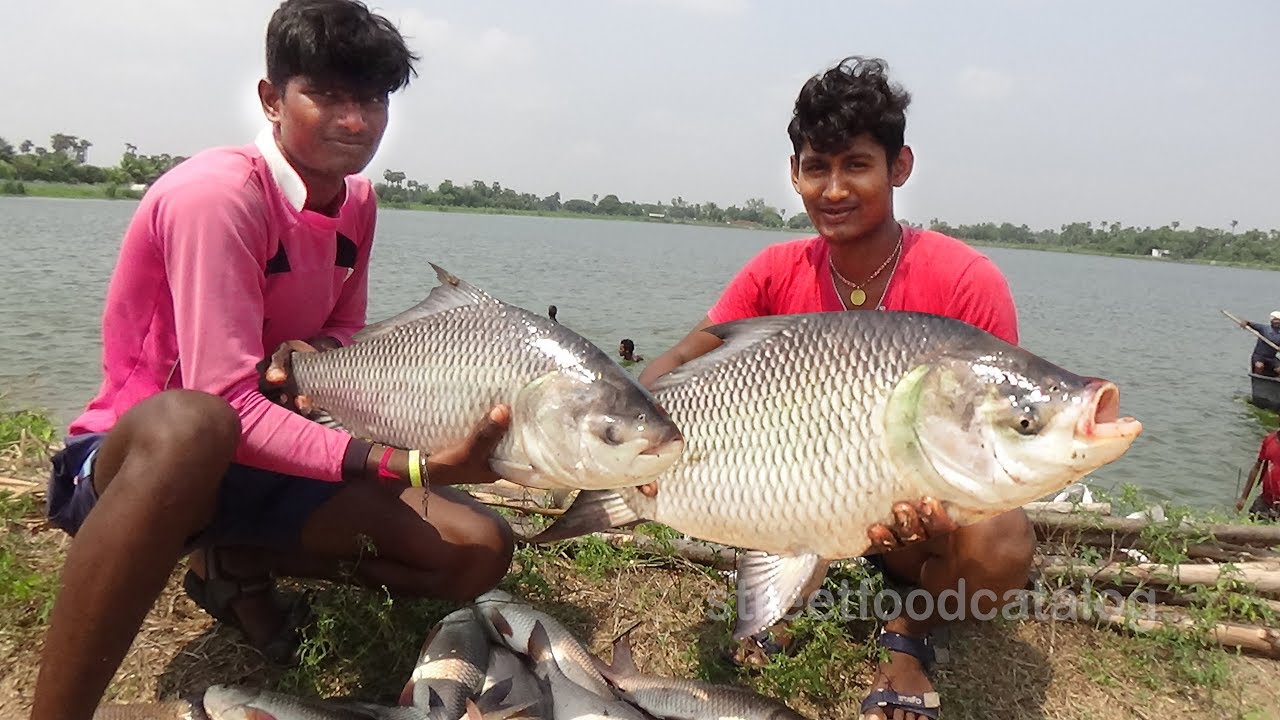 Big fish hunting Clearance