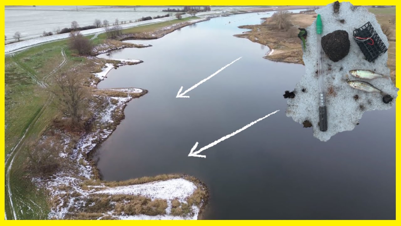Angeln im Winter am Fluss Elbe mit Köderfisch und Wurm auf Quappen❄️Fange ich einen Süßwasserdorsch?