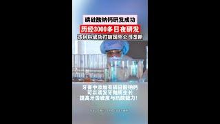 北京博士大叔潜心研究十余年，磷硅酸钙钠材料取得重大突破