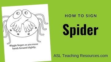 Learn How to Sign the Word Spider