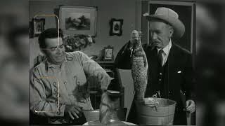 The Hidden Truth Behind KATE (Kathleen Nolan)'s On-Set Injuries During THE REAL McCOYS Revealed!