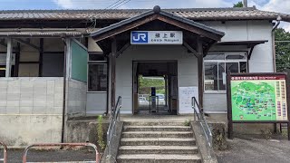 JR西日本　和歌山線　掖上駅