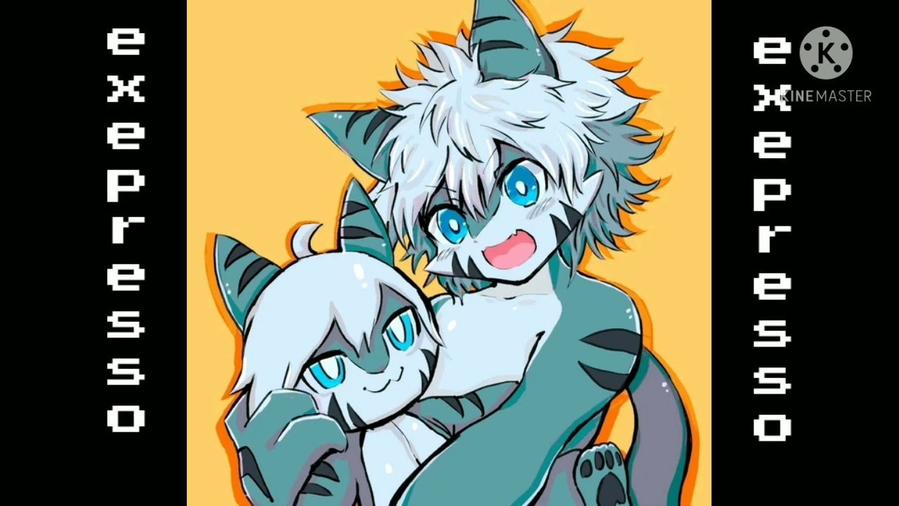 changed tiger shark #2