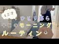 【40代ひとり暮らし】平日のモーニングルーティン/お弁当準備/しっかり朝食