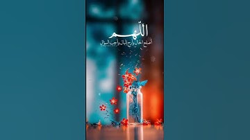 سورة المؤمنون للشـيخ ماهر المعيقلي ❤️❤️