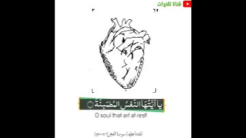 محمد صديق المنشاوي رحمه الله نهاية سورة الفجر( يا أيتها النفس المطمئنة ارجعي إلى ربك راضية مرضية)☀🔔